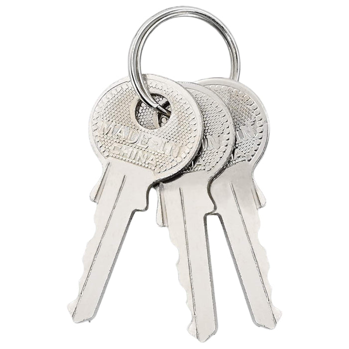 U Lock cu Chei 6 pcs Alamă Fier - WALTI WALTI