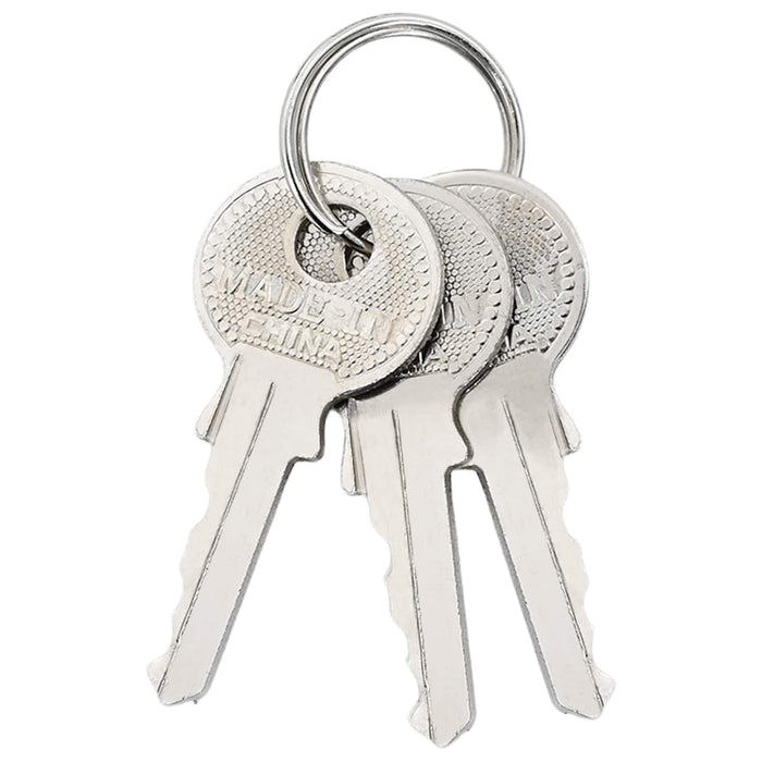 U Lock cu Chei 100 pcs Alamă Fier - WALTI WALTI