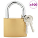 U Lock cu Chei 100 pcs Alamă Fier - WALTI WALTI