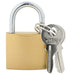 U Lock cu Chei 6 pcs Alamă Fier - WALTI WALTI
