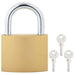 U Lock cu Chei 2 pcs Alamă Fier - WALTI WALTI