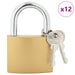 U Lock cu Chei 12 pcs Alamă Fier - WALTI WALTI