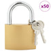 U Lock cu Chei 50 pcs Alamă Fier - WALTI WALTI