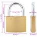 U Lock cu Chei 50 pcs Alamă Fier - WALTI WALTI