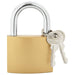 U Lock cu Chei 6 pcs Alamă Fier - WALTI WALTI