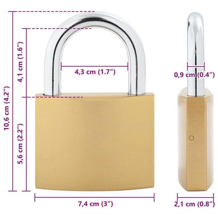 U Lock cu Chei 6 pcs Alamă Fier - WALTI WALTI