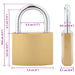 U Lock cu Chei 6 pcs Alamă Fier - WALTI WALTI