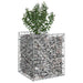Pat ridicat din gabion Argintiu 50 x 50 x 60 cm Oțel Galvanizat - WALTI WALTI