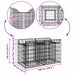 Pat ridicat din gabion Argintiu 100 x 50 x 60 cm - WALTI WALTI