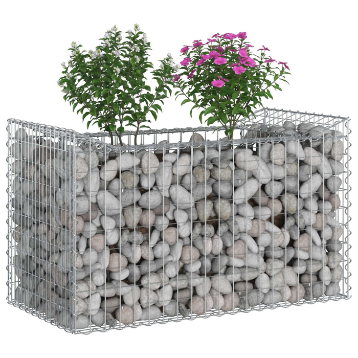 Pat ridicat din gabion Argintiu 50 x 100 x 60 cm - WALTI WALTI