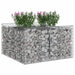 Pat ridicat din gabion Argintiu 100 x 100 x 60 cm - WALTI WALTI
