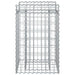 Pat ridicat din gabion Argintiu 50 x 50 x 80 cm Oțel Galvanizat - WALTI WALTI