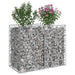 Pat ridicat din gabion Argintiu 100 x 50 x 80 cm - WALTI WALTI