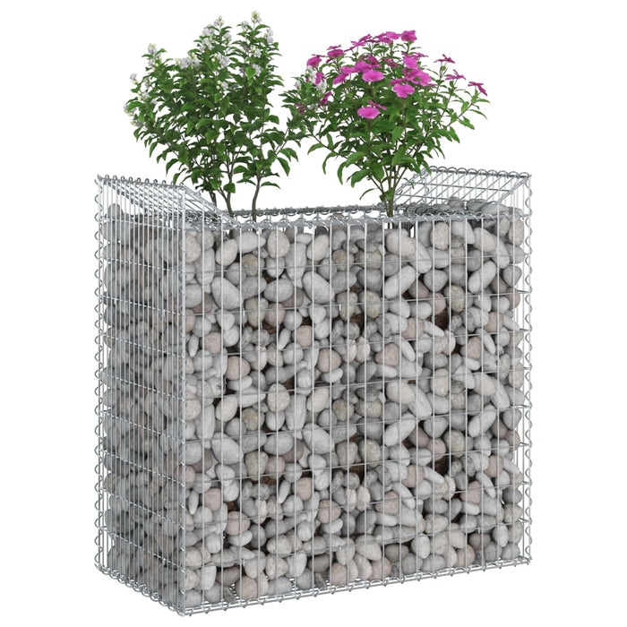 Pat ridicat din gabion Argintiu 50 x 100 x 100 cm - WALTI WALTI