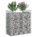 Pat ridicat din gabion Argintiu 50 x 100 x 100 cm - WALTI WALTI