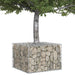 Pat ridicat din gabion Argintiu - WALTI WALTI