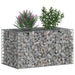 Pat ridicat din gabion Argintiu 100 x 60 x 55 cm - WALTI WALTI