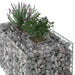 Pat ridicat din gabion Argintiu 100 x 60 x 55 cm - WALTI WALTI