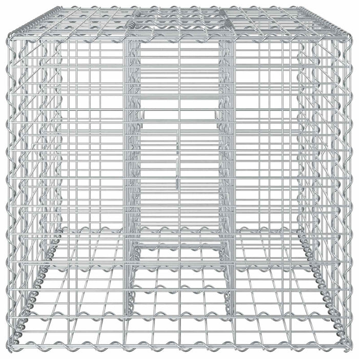 Pat ridicat din gabion Argintiu 100 x 60 x 55 cm - WALTI WALTI