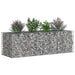Pat ridicat din gabion Argintiu 180 x 60 x 55 cm - WALTI WALTI