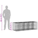 Pat ridicat din gabion Argintiu 180 x 60 x 55 cm - WALTI WALTI