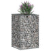 Pat ridicat din gabion Argintiu 50 x 50 x 80 cm Oțel Galvanizat - WALTI WALTI