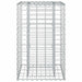 Pat ridicat din gabion Argintiu 50 x 50 x 80 cm Oțel Galvanizat - WALTI WALTI
