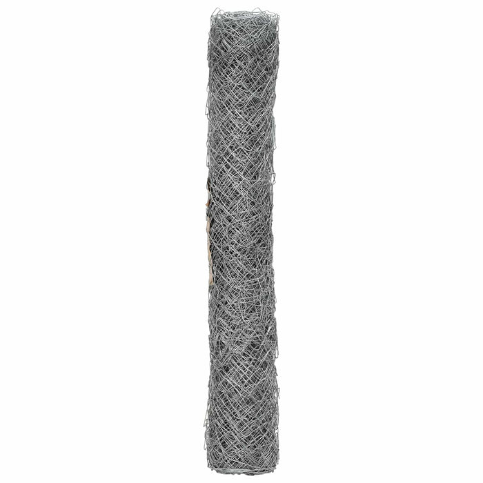 Gard cu plasă de sârmă Galvanizat 2 x 20 m Sticlă - WALTI WALTI