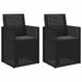 Scaune de Dining pentru Grădină 2 pcs Antracit PP - WALTI WALTI