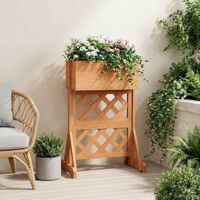 Grădină verticală trellis Portocaliu 48 x 30 x 70,5 cm WALTI