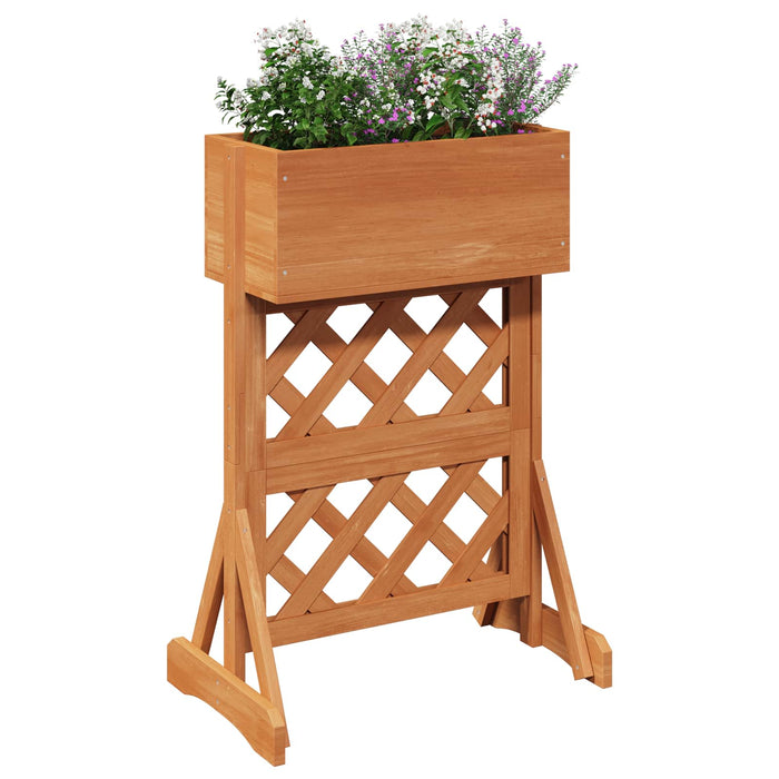 Grădină verticală trellis Portocaliu 48 x 30 x 70,5 cm WALTI