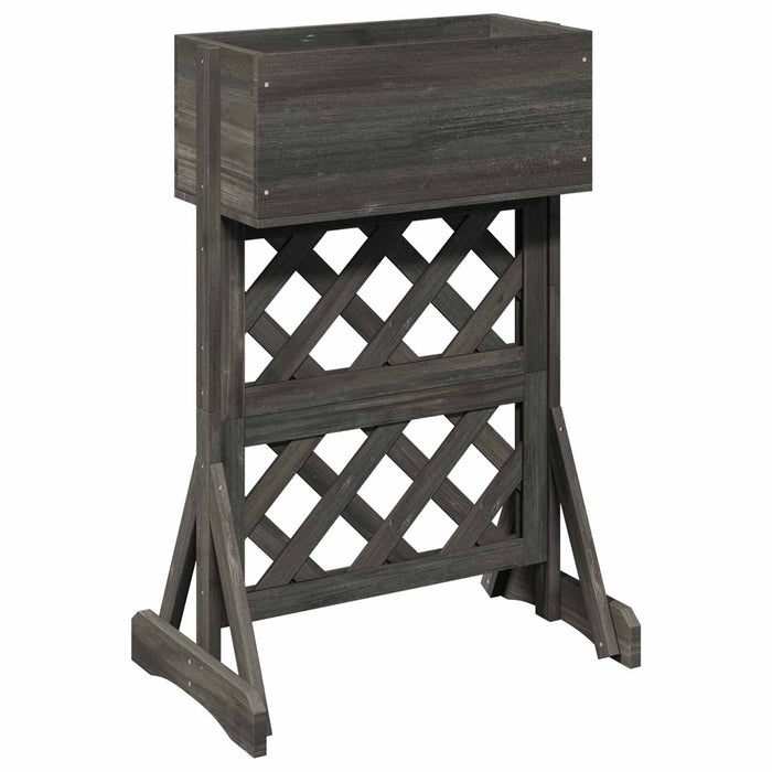 Grădină verticală trellis Gri 48 x 30 x 70,5 cm WALTI