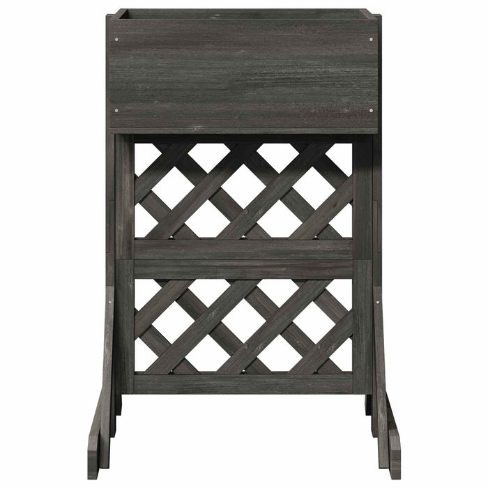 Grădină verticală trellis Gri 48 x 30 x 70,5 cm WALTI