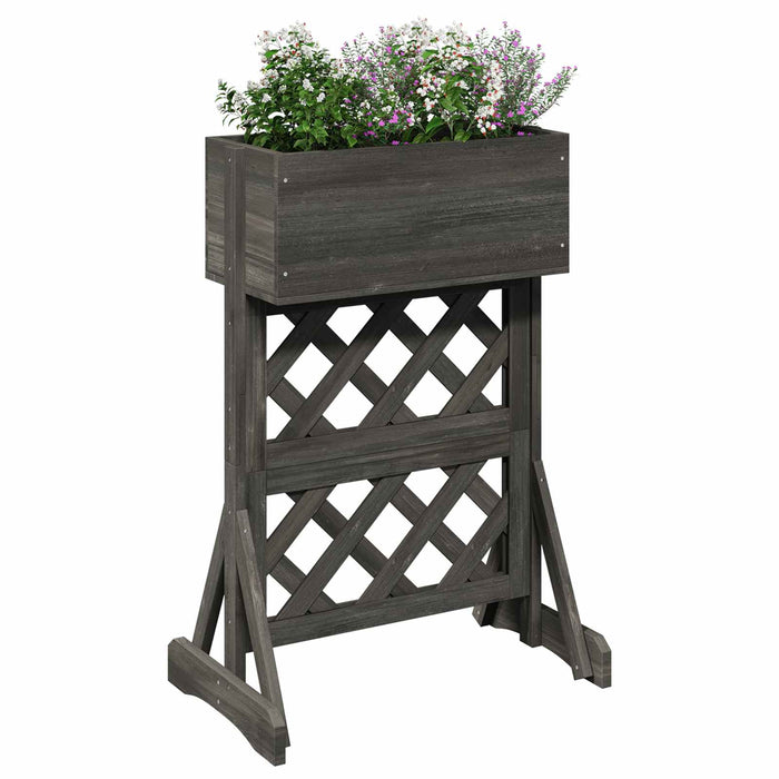 Grădină verticală trellis Gri 48 x 30 x 70,5 cm WALTI