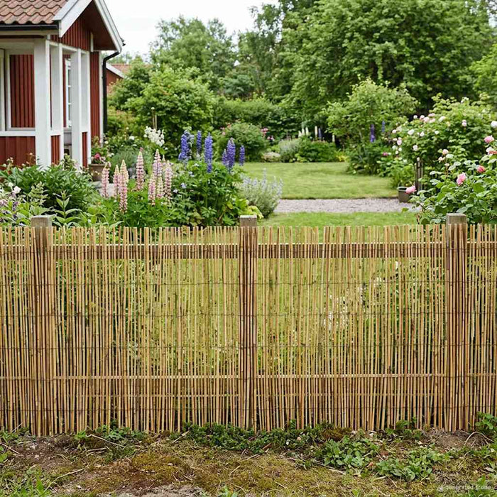 Gard de Grădină Carbonizat 400 x 100 cm Stuf - WALTI WALTI
