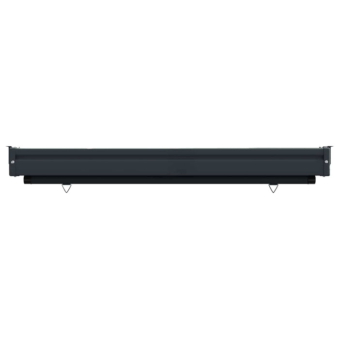 Awning lateral pentru balcon 100% poliester, fier, oțel WALTI