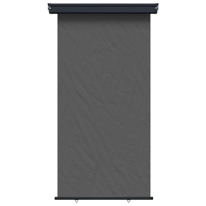 Awning lateral pentru balcon 100% poliester, fier, oțel WALTI