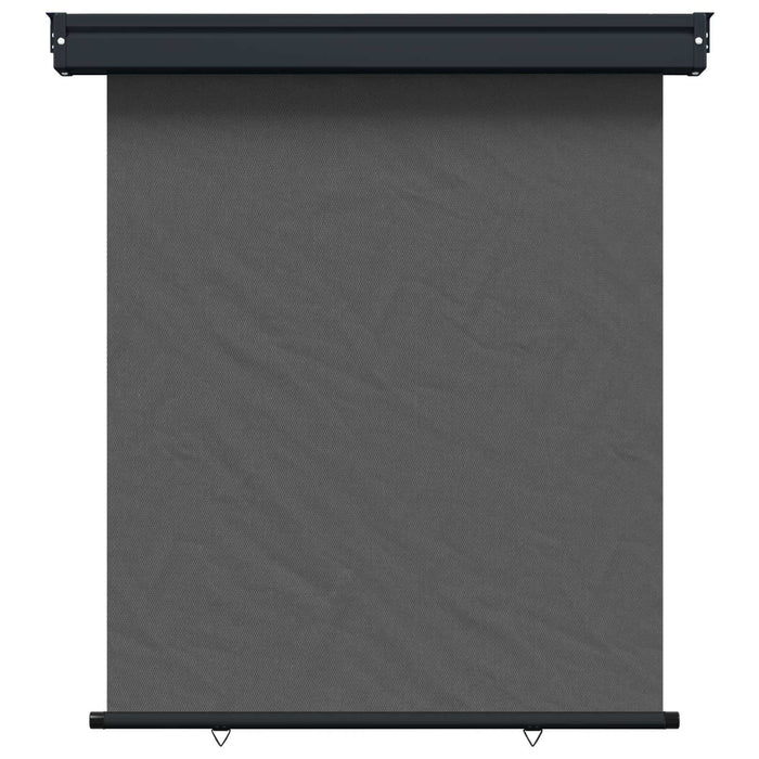 Awning lateral pentru balcon 100% poliester, fier, oțel WALTI