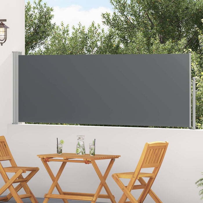 Jaluzea laterală retractabilă Antracit 300 x 100 cm Poliester WALTI