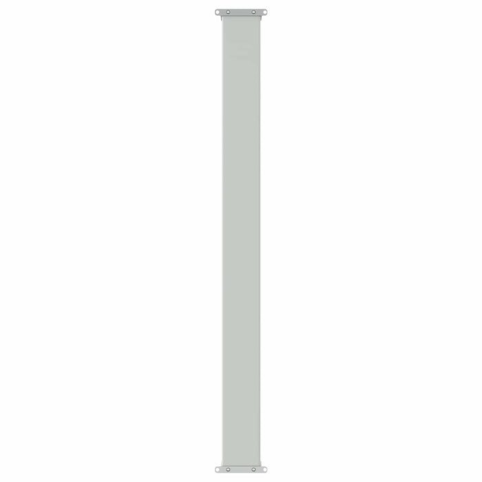 Jaluzea laterală retractabilă Antracit 300 x 100 cm Poliester WALTI