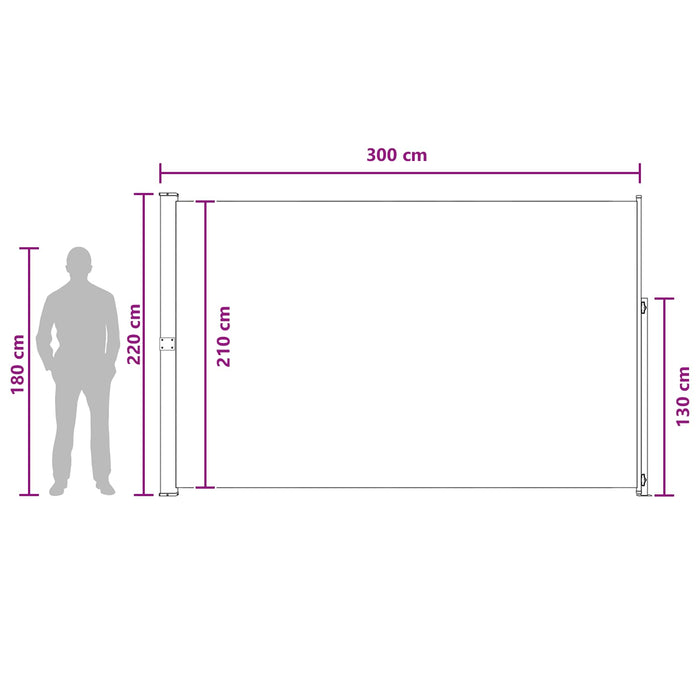 Jaluzea laterală retractabilă Antracit 300 x 220 cm Poliester WALTI