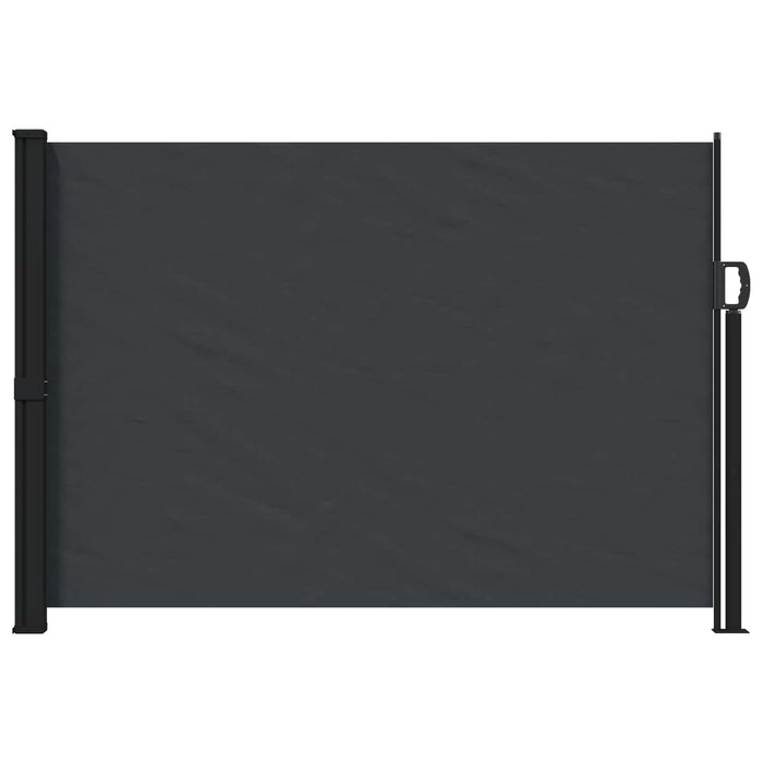 Jaluzea laterală retractabilă Negru 300 x 170 cm Poliester WALTI