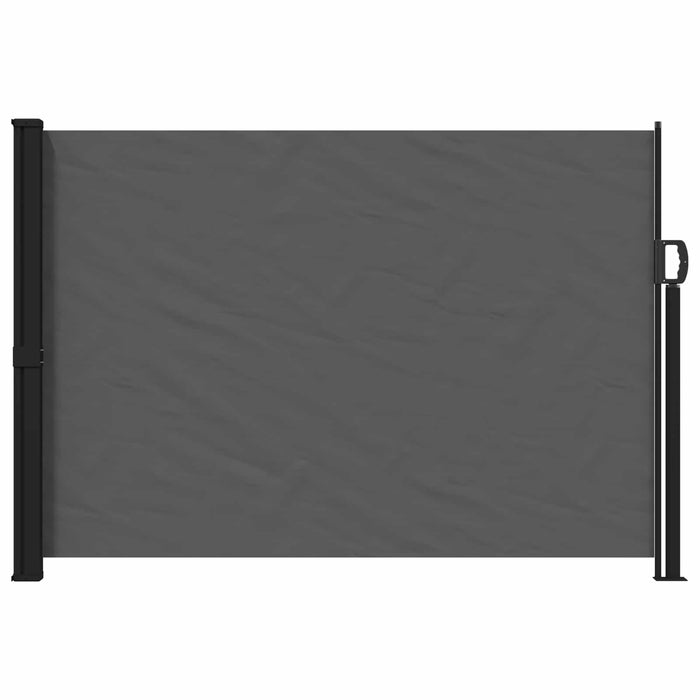 Jaluzea laterală retractabilă Antracit 300 x 170 cm Poliester WALTI