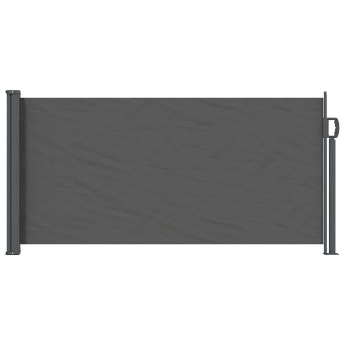 Jaluzea laterală retractabilă Antracit 300 x 100 cm Poliester WALTI