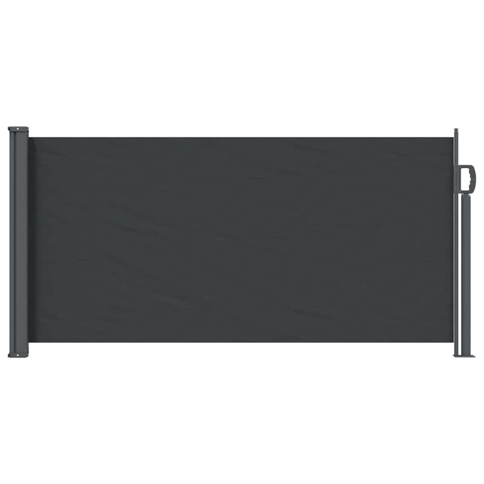Jaluzea laterală retractabilă Negru 300 x 100 cm Poliester WALTI