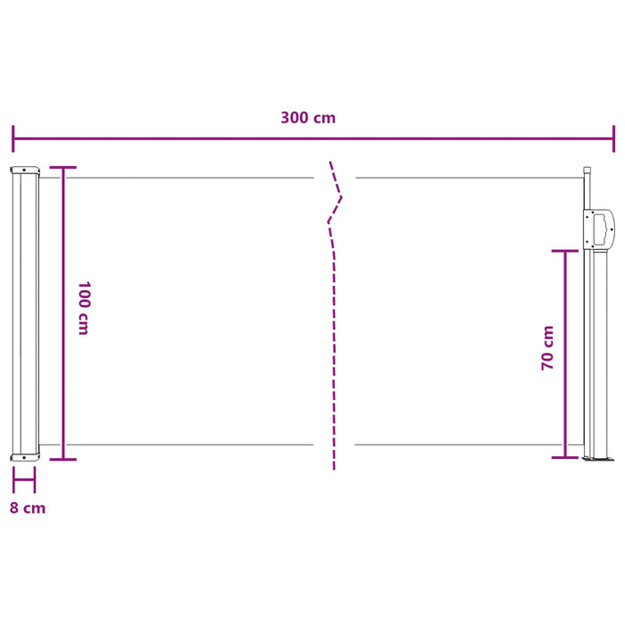 Jaluzea laterală retractabilă 300 x 100 cm Poliester WALTI