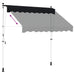 Copertină retractabilă manuală Negru 350 cm - WALTI WALTI