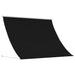 Copertină Negru 250 x 150 cm Poliester de 180 g / m² cu strat PU - WALTI WALTI