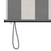Rulou textil Antracit și Alb 60 x 250 cm Țesătură și Aluminiu - WALTI WALTI