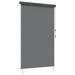 Rulou textil Gri deschis 100 x 250 cm Țesătură și Aluminiu - WALTI WALTI